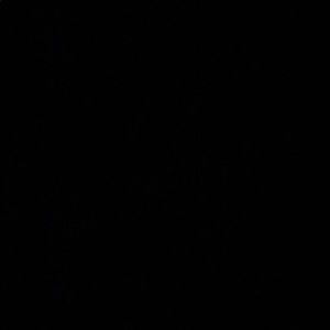 Meet your Posher, Martin